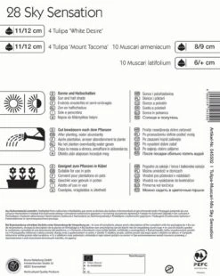 Colour Symphony Sky Sensation (28 Stück) | Blumenzwiebelmischungen Von Kiepenkerl