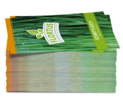 Schnittlauch (100 Tütchen) | Schnittlauchsamen Von FLORTUS -Compo Verkäufe 543957 Schnittlauch 100 Tuetchen