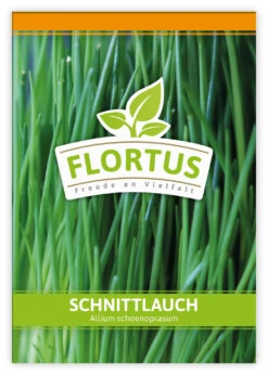 Schnittlauch (100 Tütchen) | Schnittlauchsamen Von FLORTUS -Compo Verkäufe 543957 Schnittlauch 100 Tuetchen 1