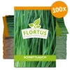 Schnittlauch (100 Tütchen) | Schnittlauchsamen Von FLORTUS 1 Schnittlauch (100 Tütchen) | Schnittlauchsamen Von FLORTUS -Compo Verkäufe 543957 Schnittlauch 100 Tuetchen 3