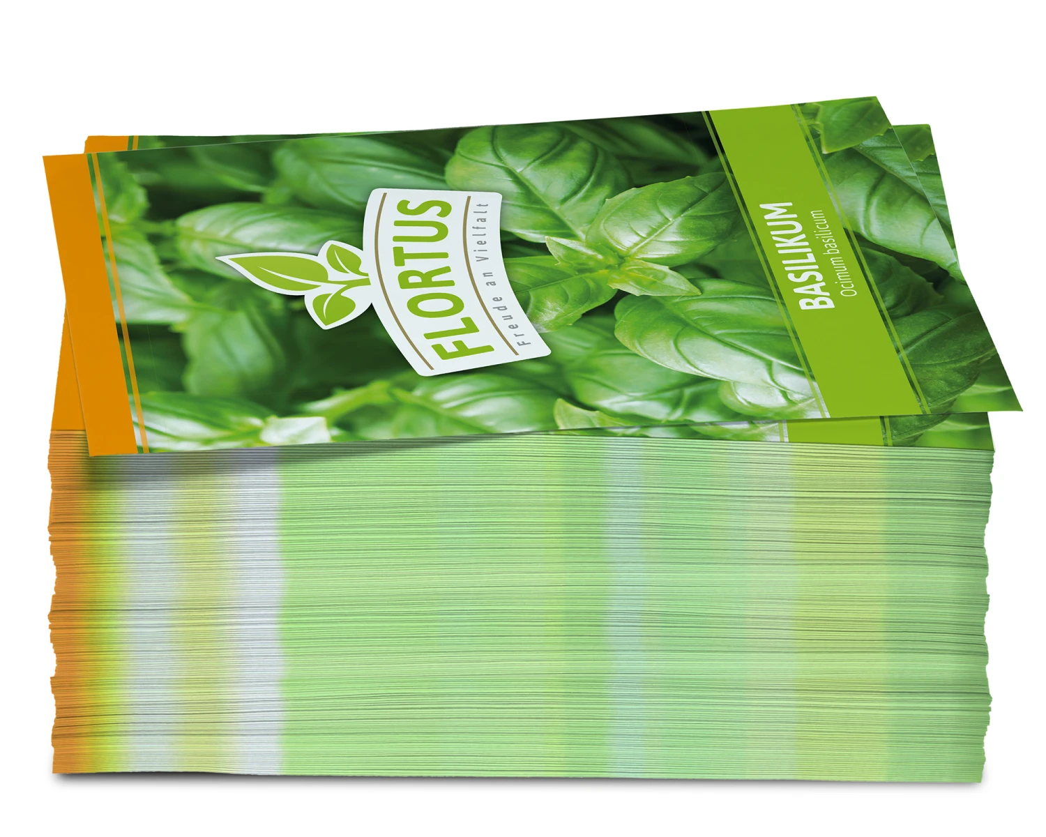 Basilikum (100 Tütchen) | Basilikumsamen Von FLORTUS 3 Basilikum (100 Tütchen) | Basilikumsamen Von FLORTUS