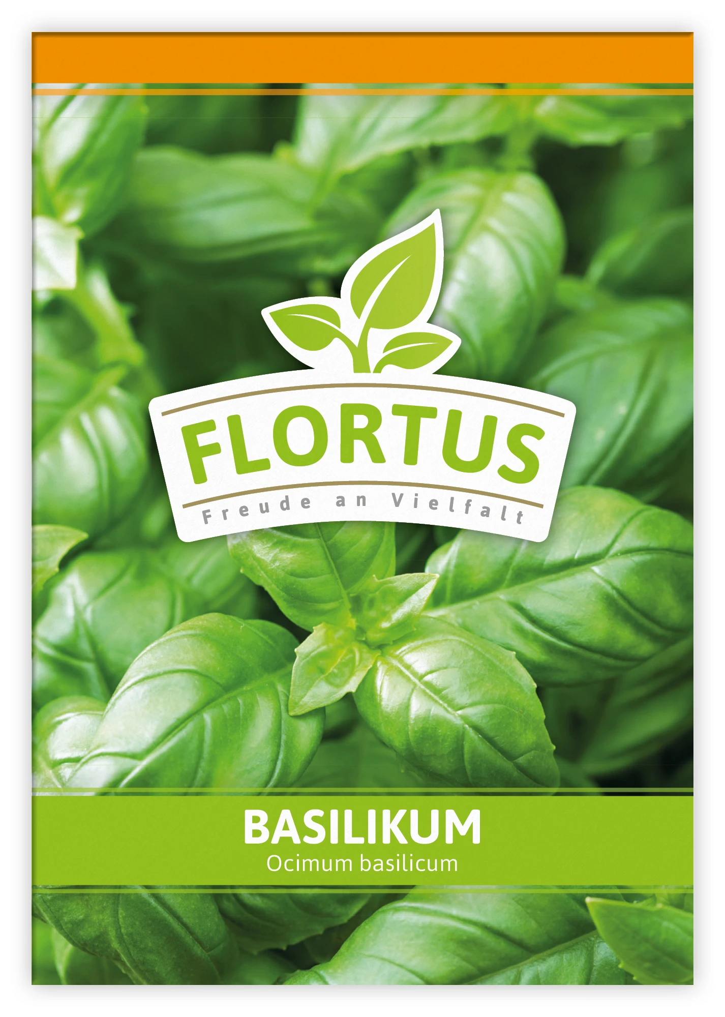 Basilikum (100 Tütchen) | Basilikumsamen Von FLORTUS 4 Basilikum (100 Tütchen) | Basilikumsamen Von FLORTUS – Bild 2