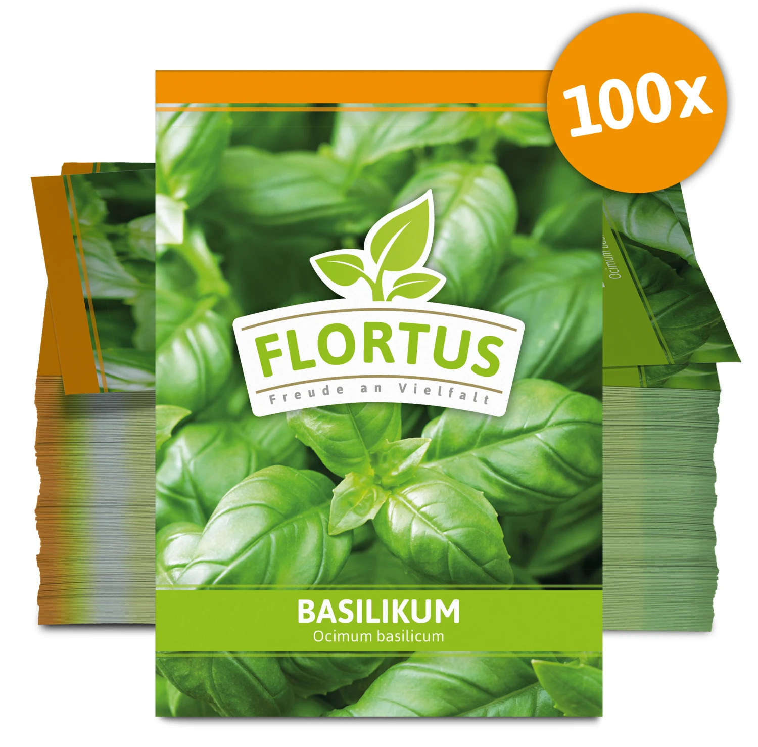 Basilikum (100 Tütchen) | Basilikumsamen Von FLORTUS 5 Basilikum (100 Tütchen) | Basilikumsamen Von FLORTUS – Bild 3