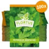 Petersilie Einfache (100 Tütchen) | Petersiliensamen Von FLORTUS -Compo Verkäufe 543966 Petersilie einfache 100 Tuetchen 3