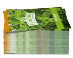 Majoran (100 Tütchen) | Majoransamen Von FLORTUS 7 Majoran (100 Tütchen) | Majoransamen Von FLORTUS -Compo Verkäufe 543967 Majoran 100 Tuetchen