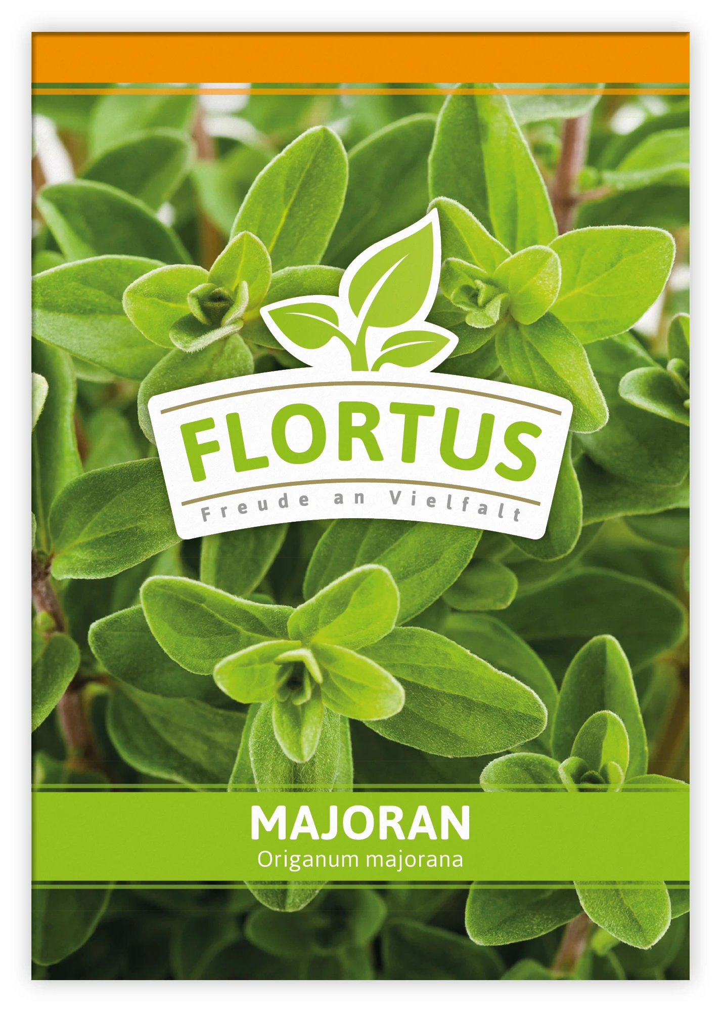 Majoran (100 Tütchen) | Majoransamen Von FLORTUS 3 Majoran (100 Tütchen) | Majoransamen Von FLORTUS