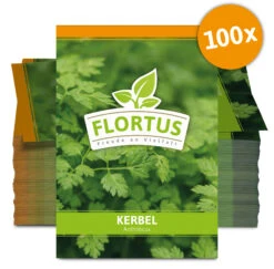 Kerbel (100 Tütchen) | Kerbelsamen Von FLORTUS -Compo Verkäufe 543969 Kerbel 100 Tuetchen 3