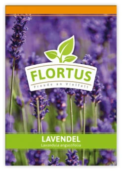 Lavendel (100 Tütchen) | Lavendelsamen Von FLORTUS