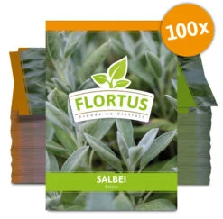 Salbei (100 Tütchen) | Salbeisamen Von FLORTUS