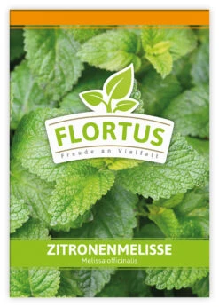 Zitronenmelisse (100 Tütchen) | Melissensamen Von FLORTUS -Compo Verkäufe 543972 Zitronenmelisse 100 Tuetchen 1