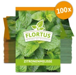 Zitronenmelisse (100 Tütchen) | Melissensamen Von FLORTUS -Compo Verkäufe 543972 Zitronenmelisse 100 Tuetchen 3
