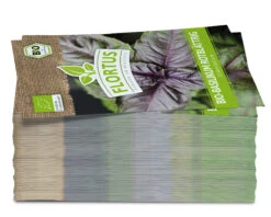 Basilikum Rotblättrig (100 Tütchen) | BIO Basilikumsamen Von FLORTUS 8 Basilikum Rotblättrig (100 Tütchen) | BIO Basilikumsamen Von FLORTUS -Compo Verkäufe 543974 Bio Basilikum rotblaettrig 100 Tuetchen