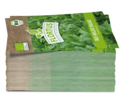 Wilde Rauke (100 Tütchen) | BIO Wilde Raukesamen Von FLORTUS 9 Wilde Rauke (100 Tütchen) | BIO Wilde Raukesamen Von FLORTUS -Compo Verkäufe 543977 Bio Wilde Rauke 100 Tuetchen