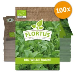 Wilde Rauke (100 Tütchen) | BIO Wilde Raukesamen Von FLORTUS 8 Wilde Rauke (100 Tütchen) | BIO Wilde Raukesamen Von FLORTUS -Compo Verkäufe 543977 Bio Wilde Rauke 100 Tuetchen 3