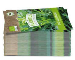 Salatrauke (100 Tütchen) | BIO Salatraukesamen Von FLORTUS -Compo Verkäufe 543978 Bio Salatrauke 100 Tuetchen