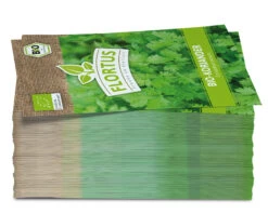 Koriander (100 Tütchen) | BIO Koriandersamen Von FLORTUS 8 Koriander (100 Tütchen) | BIO Koriandersamen Von FLORTUS -Compo Verkäufe 543981 Bio Koriander 100 Tuetchen