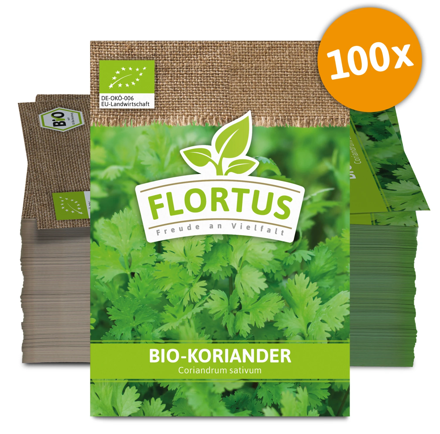 Koriander (100 Tütchen) | BIO Koriandersamen Von FLORTUS 6 Koriander (100 Tütchen) | BIO Koriandersamen Von FLORTUS – Bild 4