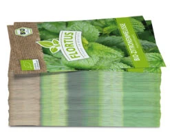 Zitronenmelisse (100 Tütchen) | BIO Melissensamen Von FLORTUS