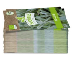 Salbei (100 Tütchen) | BIO Salbeisamen Von FLORTUS 9 Salbei (100 Tütchen) | BIO Salbeisamen Von FLORTUS -Compo Verkäufe 543985 Bio Salbei 100 Tuetchen