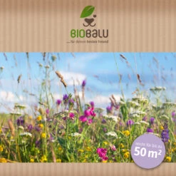 Bienenweide Halbschatten- Und Schattenbereich (50 G) | Bienenwiese Von Biobalu 9 Bienenweide Halbschatten- Und Schattenbereich (50 G) | Bienenwiese Von Biobalu -Compo Verkäufe 546069 Bienenweide Halbschatten und Schattenbereich 50 g 2