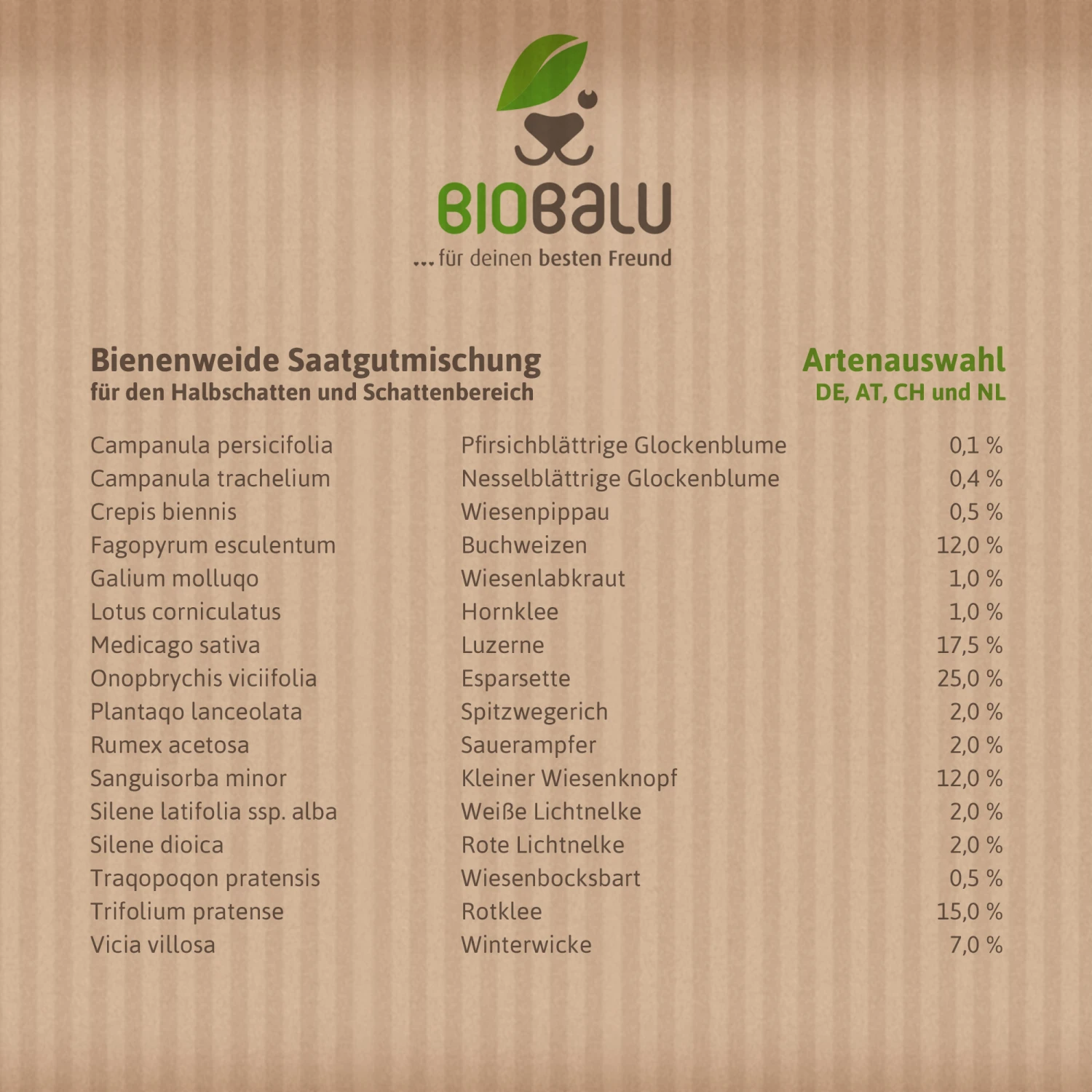 Bienenweide Halbschatten- Und Schattenbereich (50 G) | Bienenwiese Von Biobalu 4 Bienenweide Halbschatten- Und Schattenbereich (50 G) | Bienenwiese Von Biobalu – Bild 2