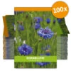 Kornblume Für Werbezwecke (100 Tütchen) | Kornblumensamen Von FLORTUS -Compo Verkäufe 546518 Kornblume fuer Werbezwecke 100 Tuetchen