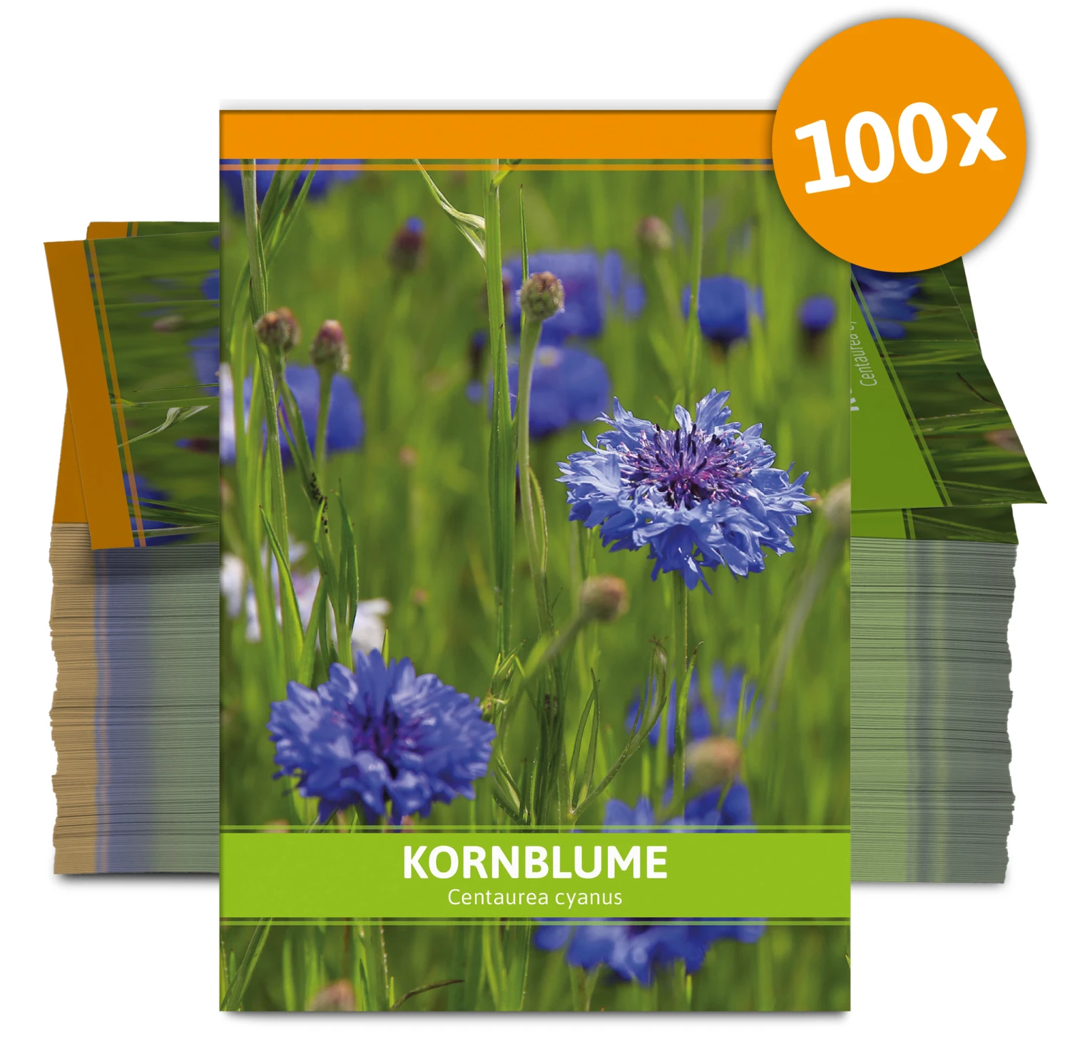 Kornblume Für Werbezwecke (100 Tütchen) | Kornblumensamen Von FLORTUS 3 Kornblume Für Werbezwecke (100 Tütchen) | Kornblumensamen Von FLORTUS