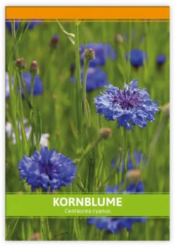 Kornblume Für Werbezwecke (100 Tütchen) | Kornblumensamen Von FLORTUS 9 Kornblume Für Werbezwecke (100 Tütchen) | Kornblumensamen Von FLORTUS -Compo Verkäufe 546518 Kornblume fuer Werbezwecke 100 Tuetchen 1