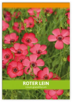 Roter Lein Für Werbezwecke (100 Tütchen) | Leinsamen Von FLORTUS -Compo Verkäufe 546522 Roter Lein fuer Werbezwecke 100 Tuetchen 1