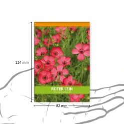 Roter Lein Für Werbezwecke (100 Tütchen) | Leinsamen Von FLORTUS -Compo Verkäufe 546522 Roter Lein fuer Werbezwecke 100 Tuetchen 3