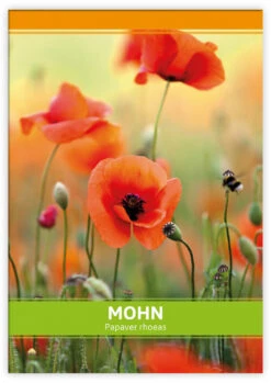 Mohn Für Werbezwecke (100 Tütchen) | Mohnsamen Von FLORTUS -Compo Verkäufe 546524 Mohn fuer Werbezwecke 100 Tuetchen 1