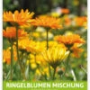 Ringelblumenmischung Für Werbezwecke (100 Tütchen) | Ringelblumensamen Von FLORTUS 1 Ringelblumenmischung Für Werbezwecke (100 Tütchen) | Ringelblumensamen Von FLORTUS -Compo Verkäufe 546526 Ringelblumenmischung fuer Werbezwecke 100 Tuetchen 1