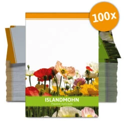 Island Mohn Für Werbezwecke (100 Tütchen) | Islandmohnsamen Von FLORTUS