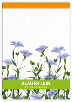 Blauer Lein Für Werbezwecke (100 Tütchen) | Leinsamen Von FLORTUS