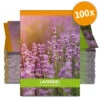 Lavendel Für Werbezwecke (100 Tütchen) | Lavendelsamen Von FLORTUS -Compo Verkäufe 546542 Lavendel fuer Werbezwecke 100 Tuetchen