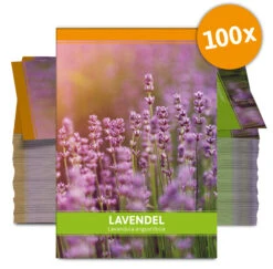 Lavendel Für Werbezwecke (100 Tütchen) | Lavendelsamen Von FLORTUS