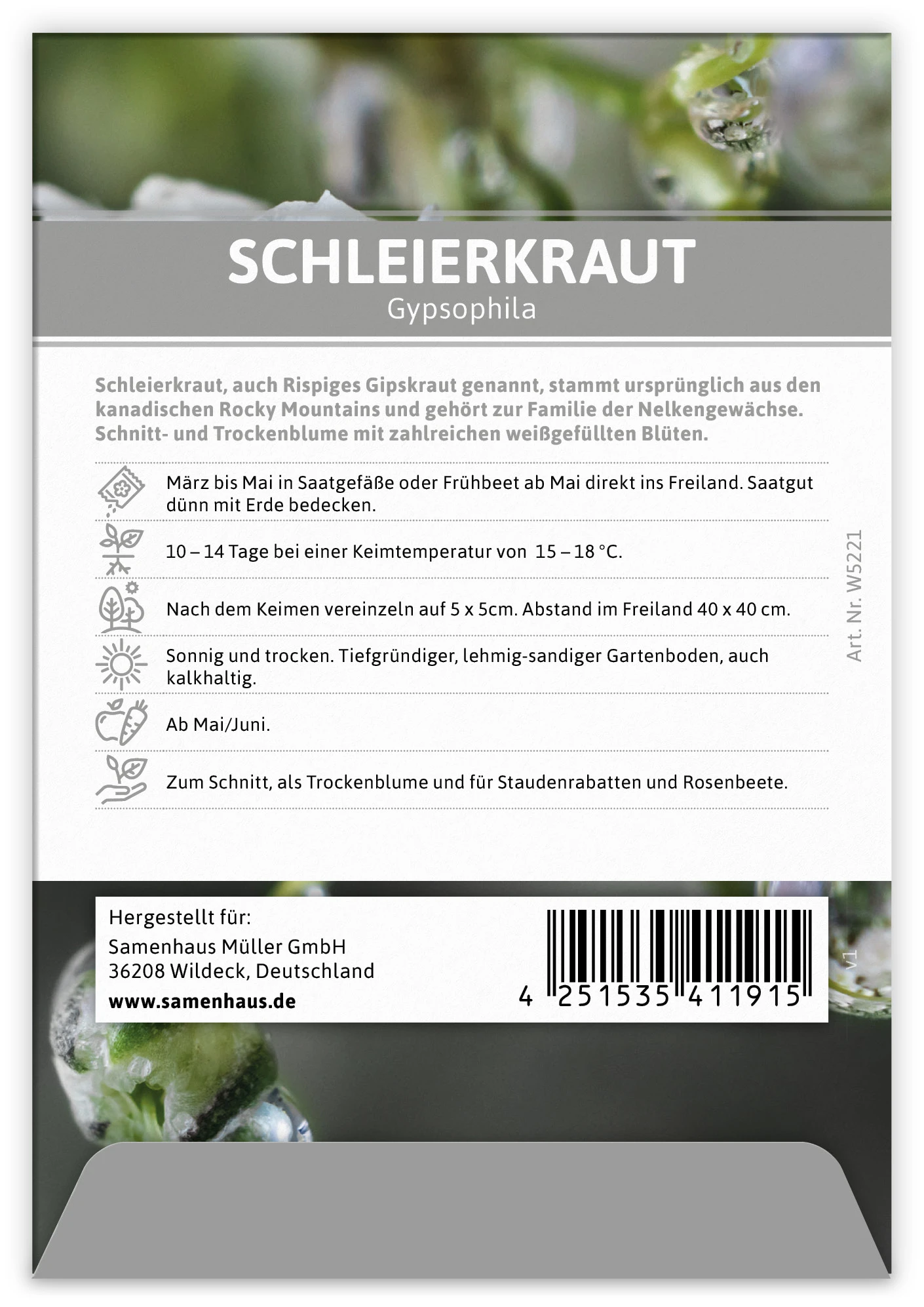 Schleierkraut Für Werbezwecke (100 Tütchen) | Schleierkrautsamen Von FLORTUS 6 Schleierkraut Für Werbezwecke (100 Tütchen) | Schleierkrautsamen Von FLORTUS – Bild 4