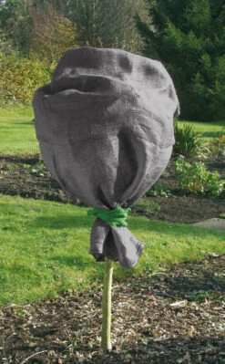 X-Jute-Schutzsack Anthrazit (60 X 110 Cm) | Winterschutz Von Gardissimo