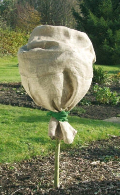 Jute-Schutzsack Natur (60 X 80 Cm) | Winterschutz Von Gardissimo