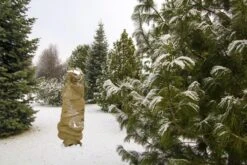 Jute-Schutzgewebe Natur (100x500 Cm) | Winterschutz Von Gardissimo