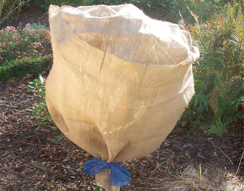 Jute-Schutzvlies Natur (500 X 105 Cm) | Winterschutz Von Gardissimo 3 Jute-Schutzvlies Natur (500 X 105 Cm) | Winterschutz Von Gardissimo