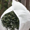 Kübelpflanzensack (240 X 200 Cm) | Winterschutz Von Gardissimo -Compo Verkäufe 547609 Kuebelpflanzensack 240 x 200 cm