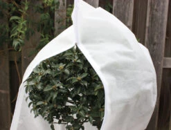 Kübelpflanzensack (240 X 200 Cm) | Winterschutz Von Gardissimo