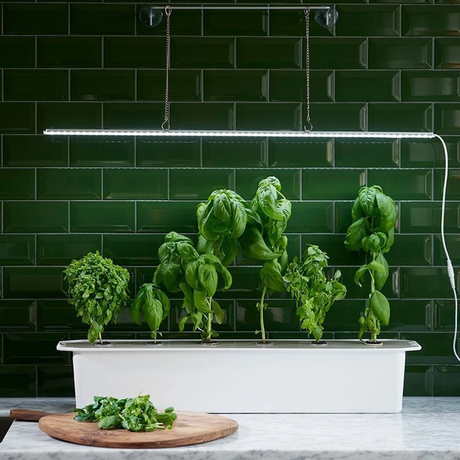 LED-Pflanzenleuchte Mit Adapter 23W (85 Cm) | Beleuchtung Von Nelson Garden 5 LED-Pflanzenleuchte Mit Adapter 23W (85 Cm) | Beleuchtung Von Nelson Garden – Bild 3