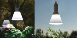 LED-Pflanzenleuchte Mit Schirm 15W E27 | Beleuchtung Von Nelson Garden
