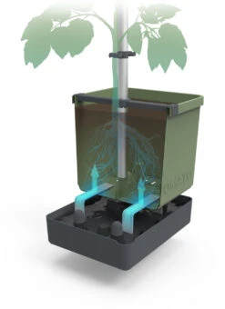 Tom Tomato Tomatentopf Dunkelgrün | Tomatentöpfe Von Gusta Garden -Compo Verkäufe 547958 Tom Tomato Dunkelgruen 2