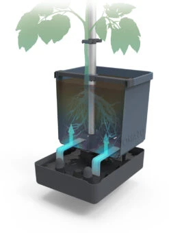 Tom Tomato Tomatentopf Blau | Tomatentöpfe Von Gusta Garden -Compo Verkäufe 547959 Tom Tomato Blau 2