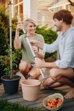 Tomato Buddy Tomatenrankhilfe | Rankhilfen Von Gusta Garden -Compo Verkäufe 547960 Tomato Buddy 6