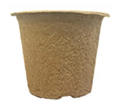 7 X 10,5 Cm Anzuchttopf NT Rund (800 Stück) | Anzuchttöpfe Von Fertil 7 7 X 10,5 Cm Anzuchttopf NT Rund (800 Stück) | Anzuchttöpfe Von Fertil -Compo Verkäufe 548139 7 x 10 5 cm Anzuchttoepfe rund 800 Stueck 591 C1 1