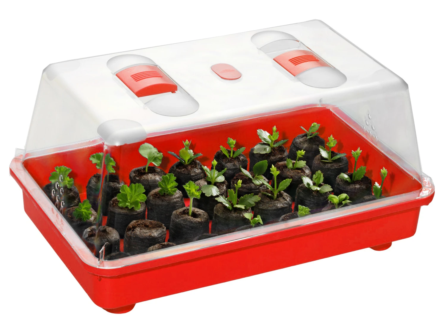 Zimmergewächshaus Marco Rot | Zimmergewächshaus Von Romberg 3 Zimmergewächshaus Marco Rot | Zimmergewächshaus Von Romberg